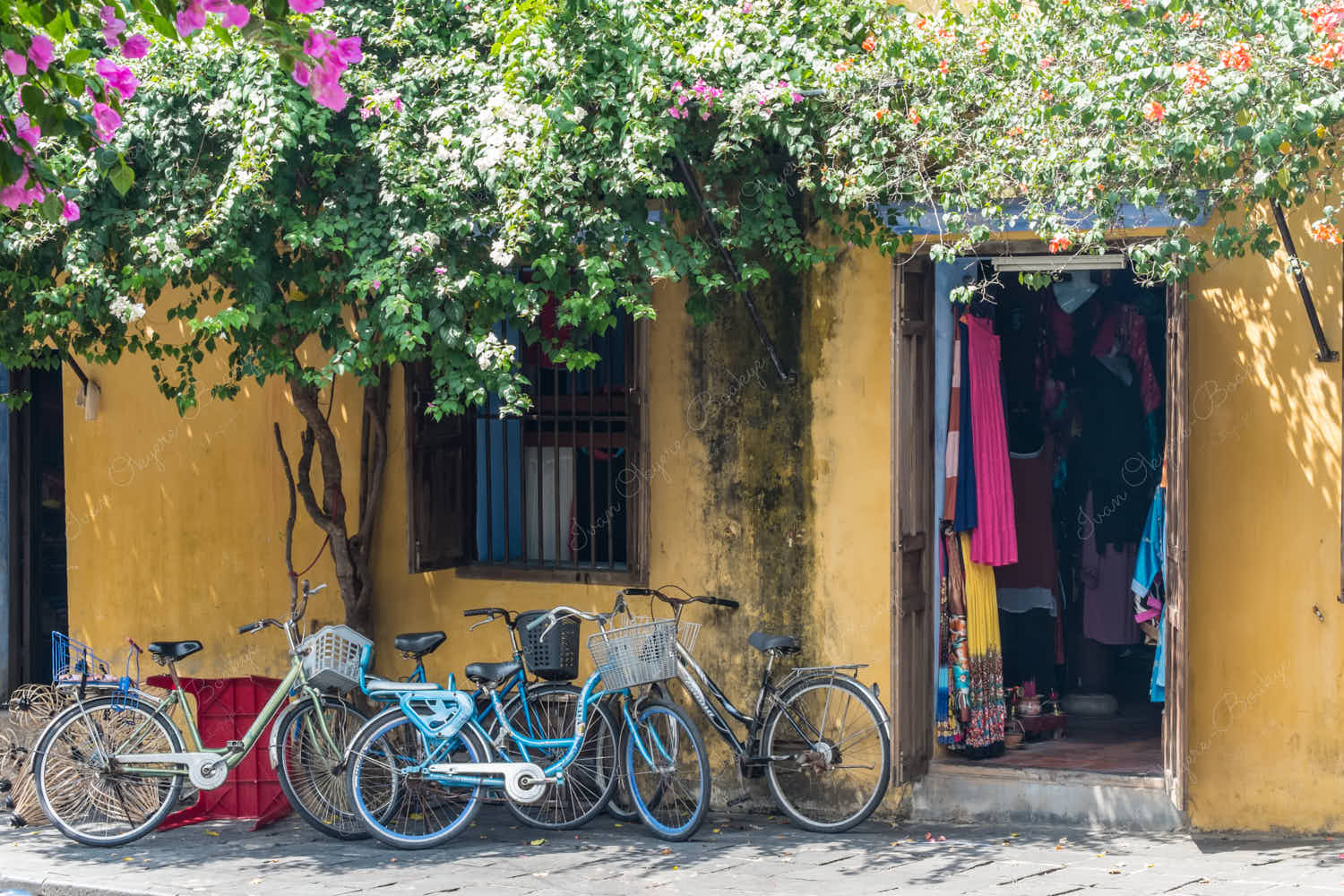 Bicycles outside yellow pastel coloured walls of store in Tran Phu, Hoi An Old Town, Vietnam