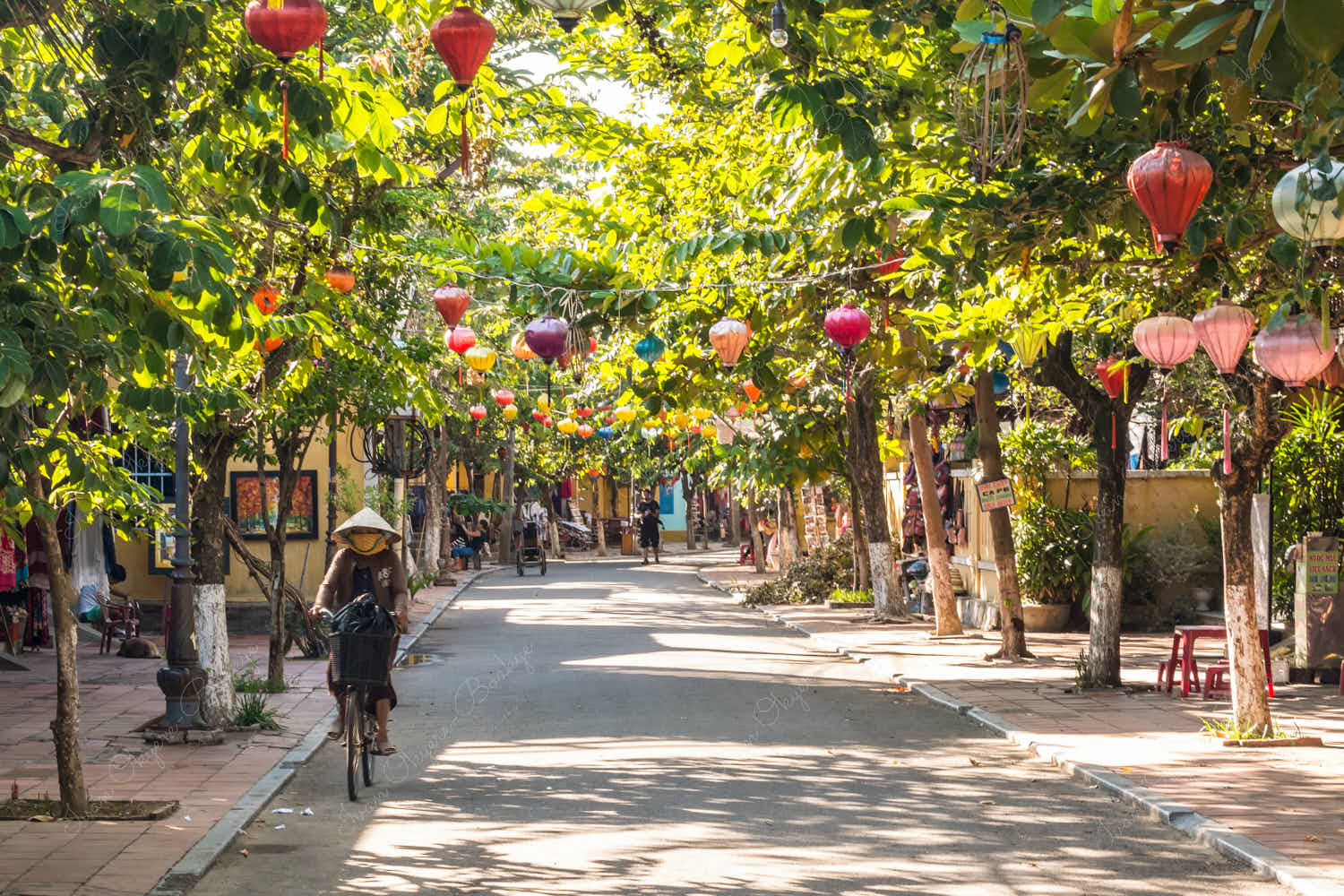 Nguyen Thi Minh Khai (Nguyễn Thị Minh Khai} street with Chinese lanterns hanging from the trees, Hoi An, Vietnam