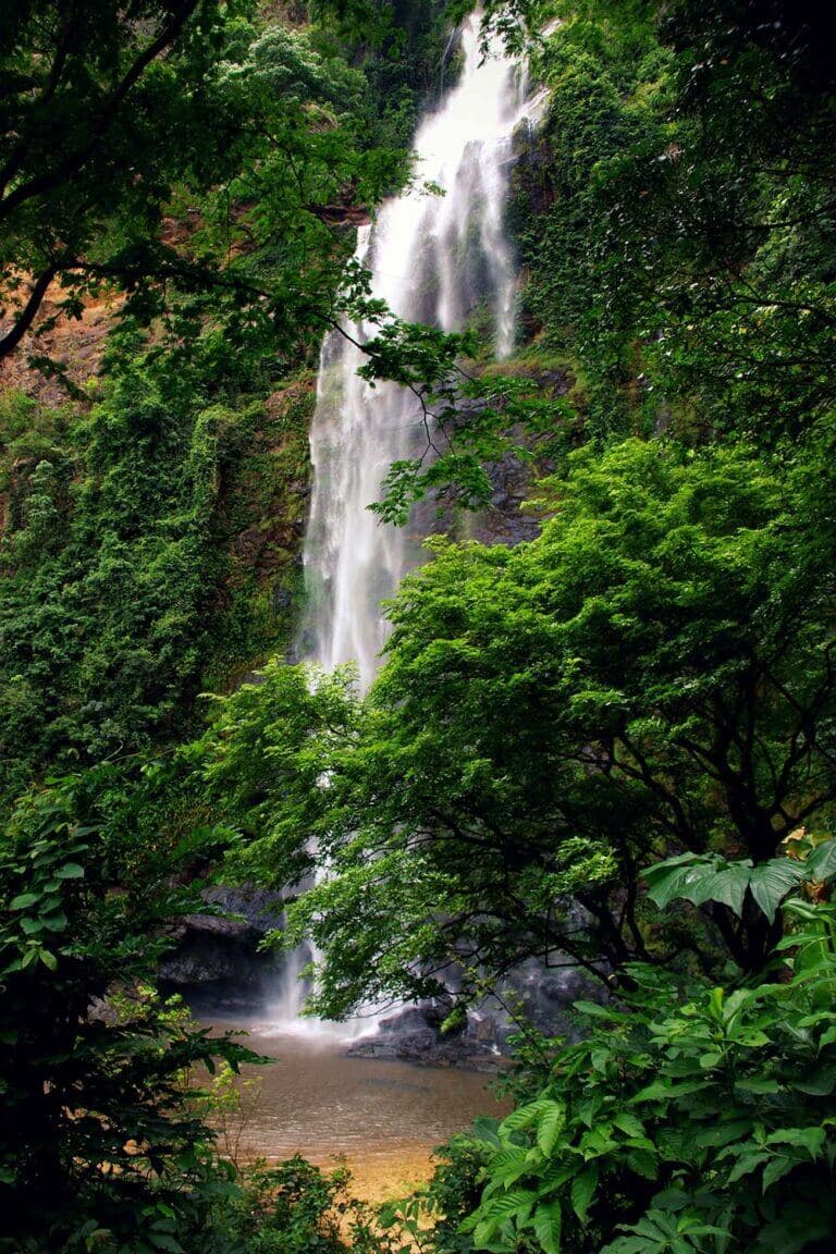Stunning upper Wli waterfall in Volta Region, Ghana – Photo by Thomas on Adobe Stock