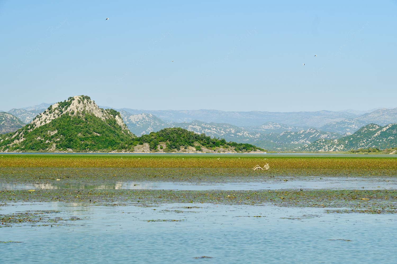 The gorgeous natural seascape of Skadar Lake, Montenegro The gorgeous natural seascape of Skadar Lake, Montenegro