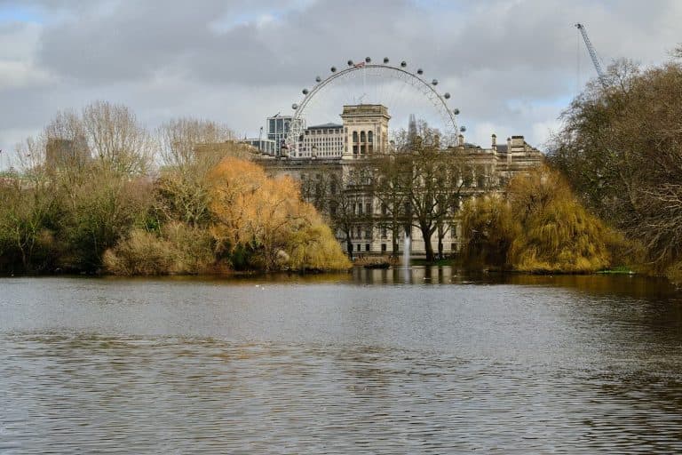 View of London Eye from St James Park