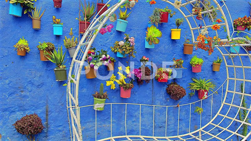 Colorful Plant Pots, White Love Seat, And Blue Wall Chefchaouen, Morocco Colorful Plant Pots, White Love Seat, And Blue Wall Chefchaouen, Morocco