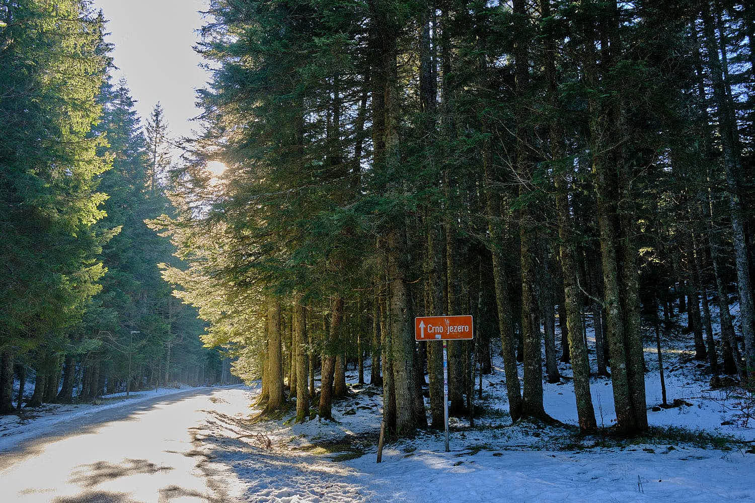 Path to Crno Jezero or Black Lake, Durmitor National Park, Montenegro