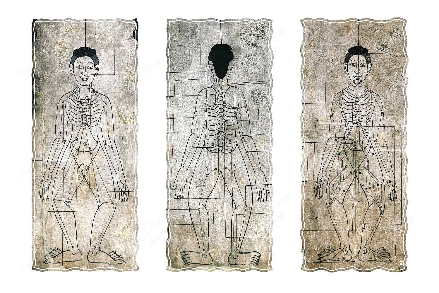 Thai massage acupressure points wall mural