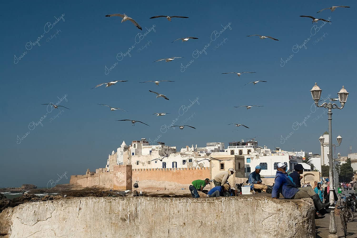Fishermen at the fishing port with the walled medina in the background in Essaouira, Morocco