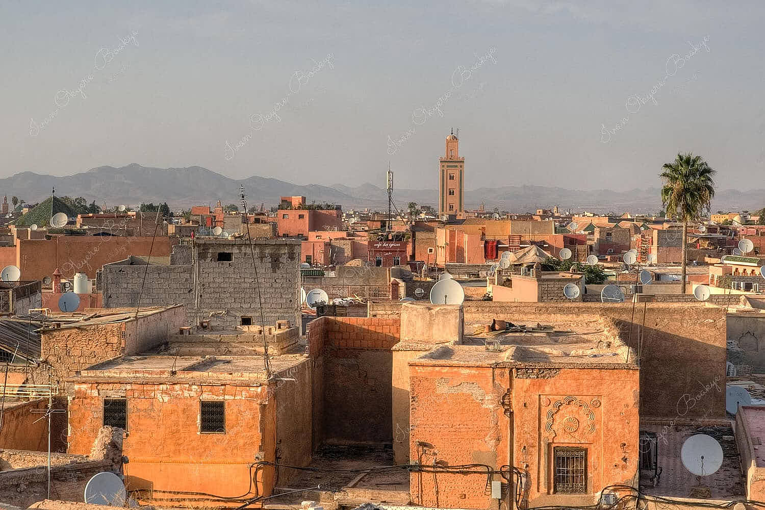 Marrakech Medina Rooftops with Atlas Mountains in background, Marrakech, Morocco