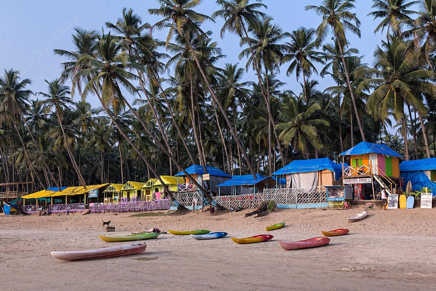 Beach huts with coconut trees in the background and kayaks on the beach at Palolem Beach in Goa, India