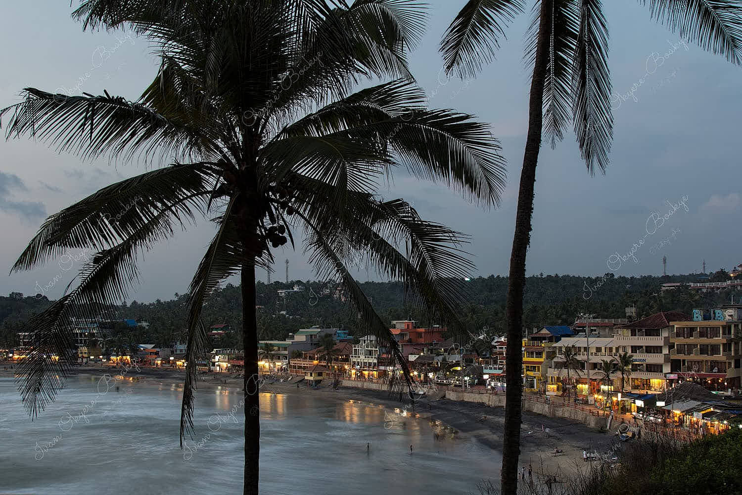 View of Lighthouse Beach and promenade in the evening through coconut trees in Kovalam, Kerala, India