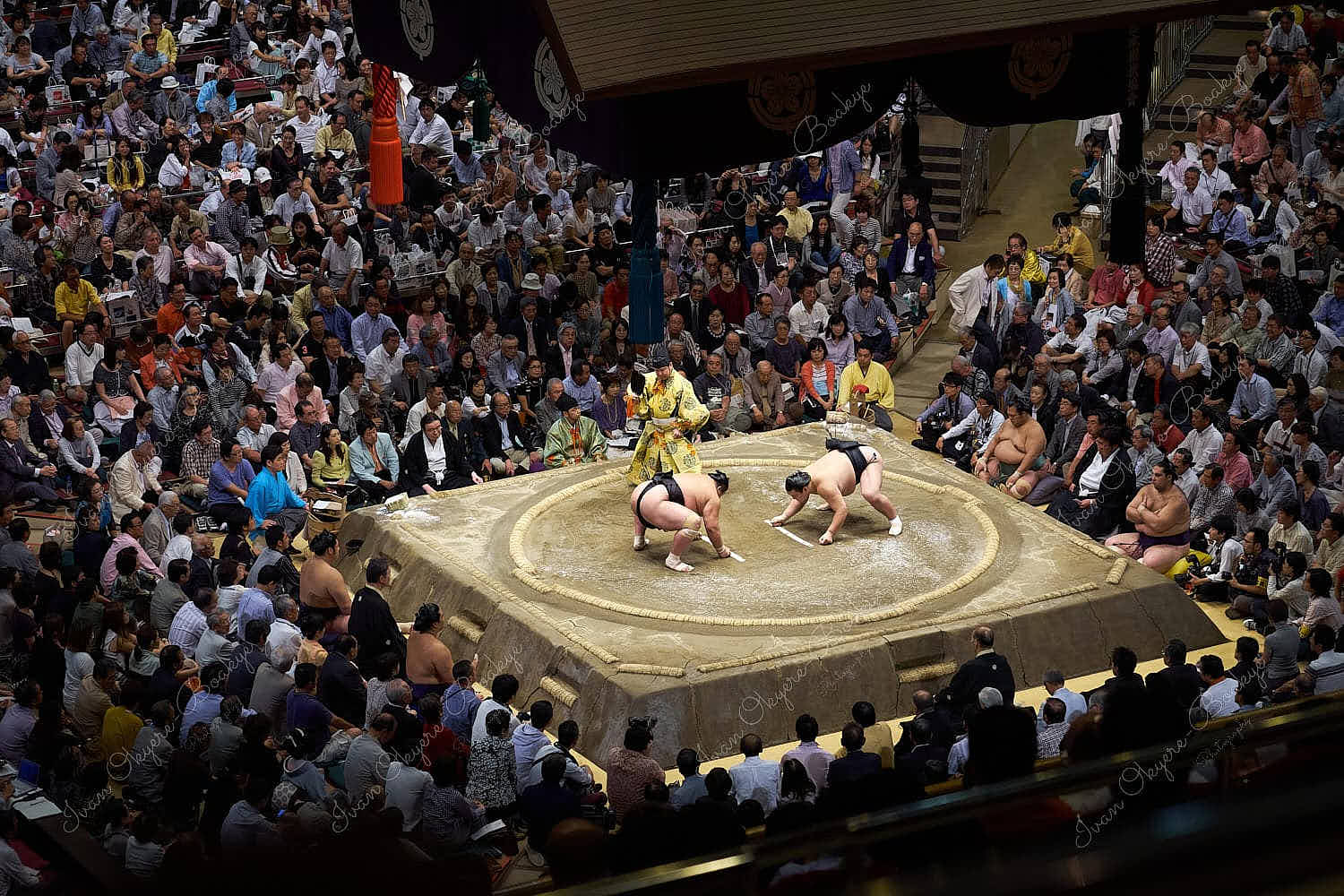 Sumo wrestlers preparing to fight in the wrestling ring at 2013 September Grand Sumo Tournament at the Ryogoku Kokugikan, Tokyo, Japan