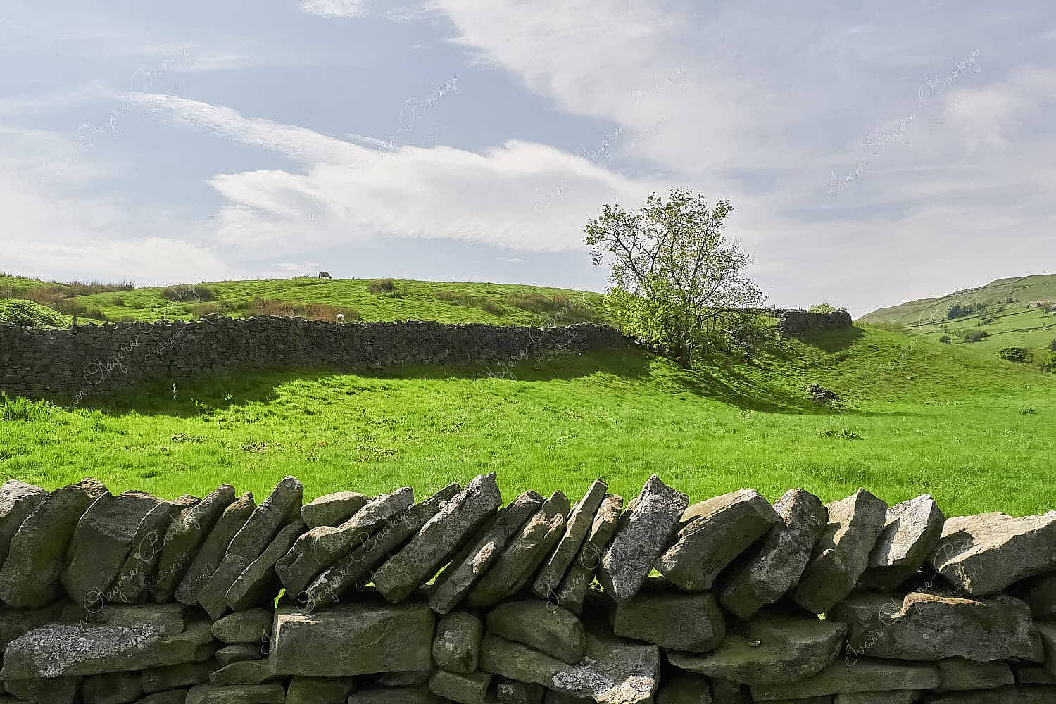 The wonderful English countryside of Reeth in the Yorkshire Dales National Park, UK