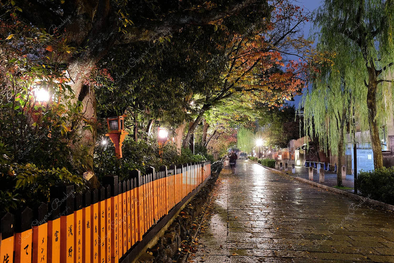 A beautiful night time view of the wet vermillion orange wooden gate and cobbled stones of a side street in Kyoto, Japan