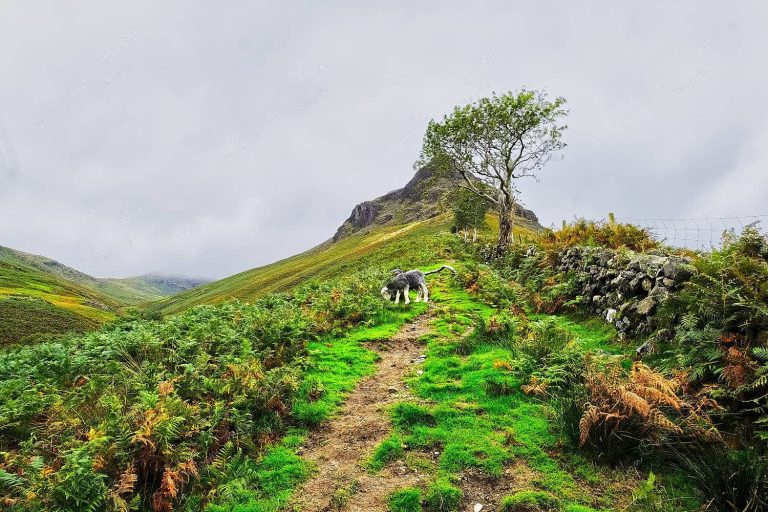 Yewbarrow at Wastwater in Lake District, United Kingdom