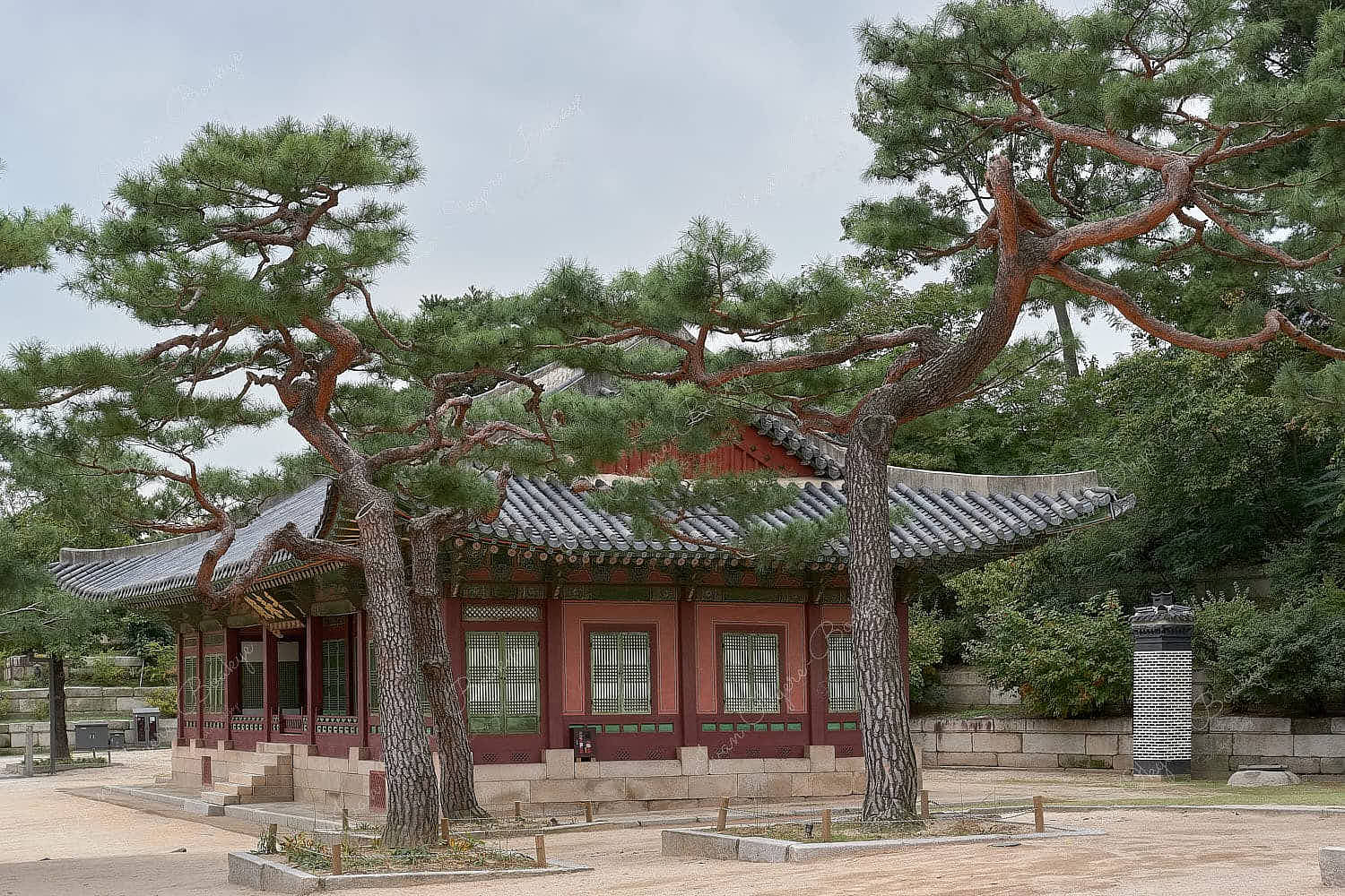 Hall building surrounded by trees in Changgyeonggung Palace, Seoul, South Korea